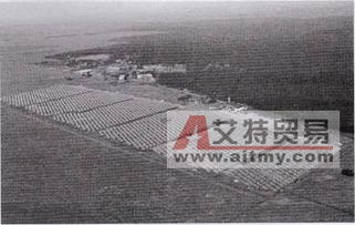 太陽能發(fā)電技術(shù)服務(wù)與技術(shù)創(chuàng)新